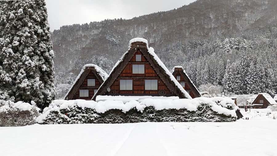 From Nagoya: Snow Day in the Japan Alps & Shirakawago - An In-Depth Look at the From Nagoya Tour