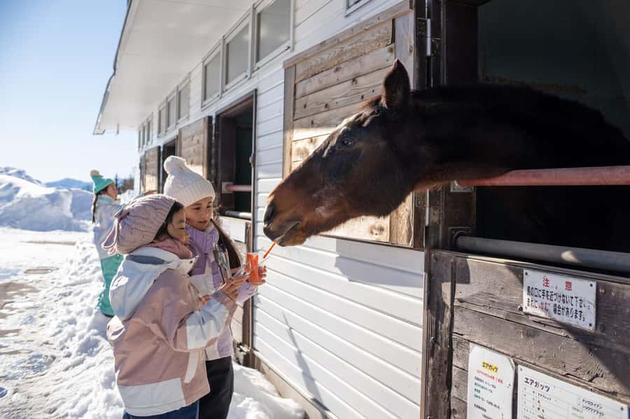 From Nagoya: Snow Day in the Japan Alps & Shirakawago - Frequently Asked Questions