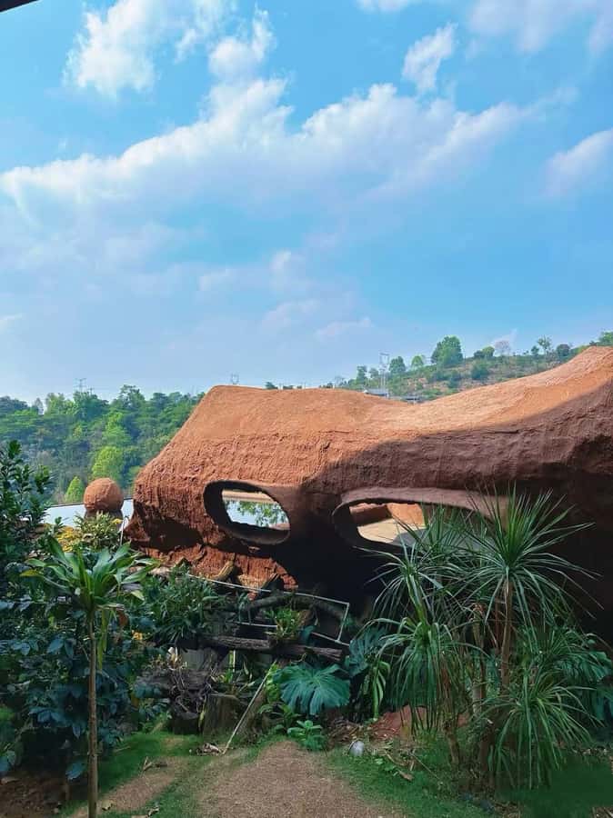 Yunnan Coffee Valley | Half-Day Road Trip - Who Is This Tour Perfect For?