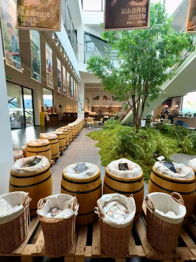 Yunnan Coffee Valley | Half-Day Road Trip - Final Thoughts