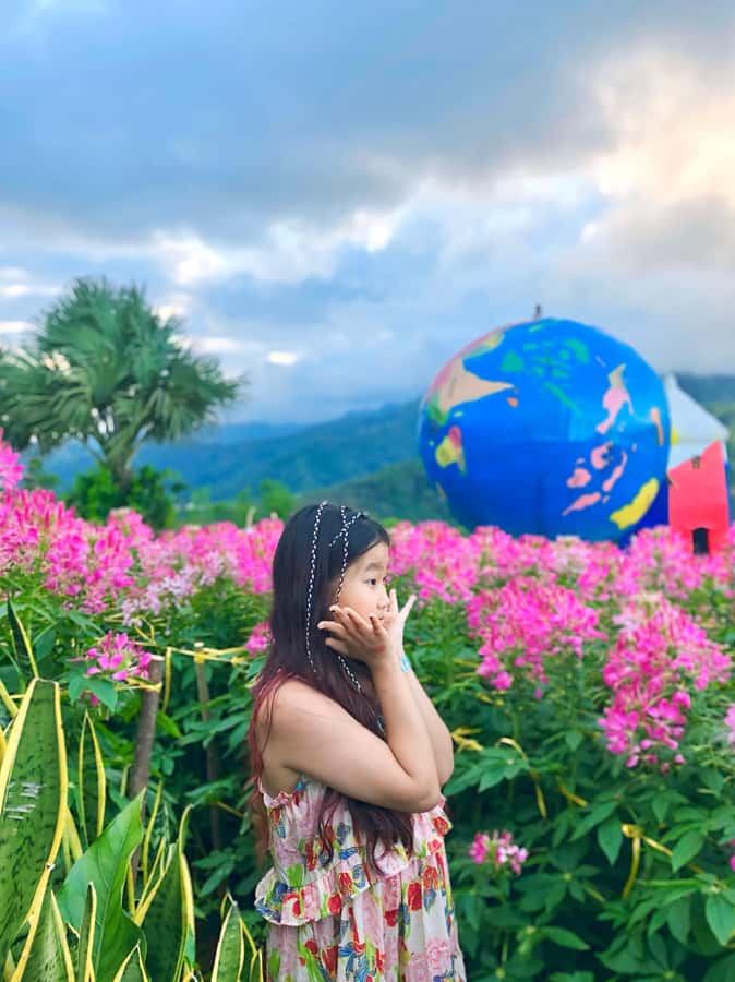 Cebu: Sirao Garden, Temple of Leah, and La Vie Tour - Who Is This Tour Best For?