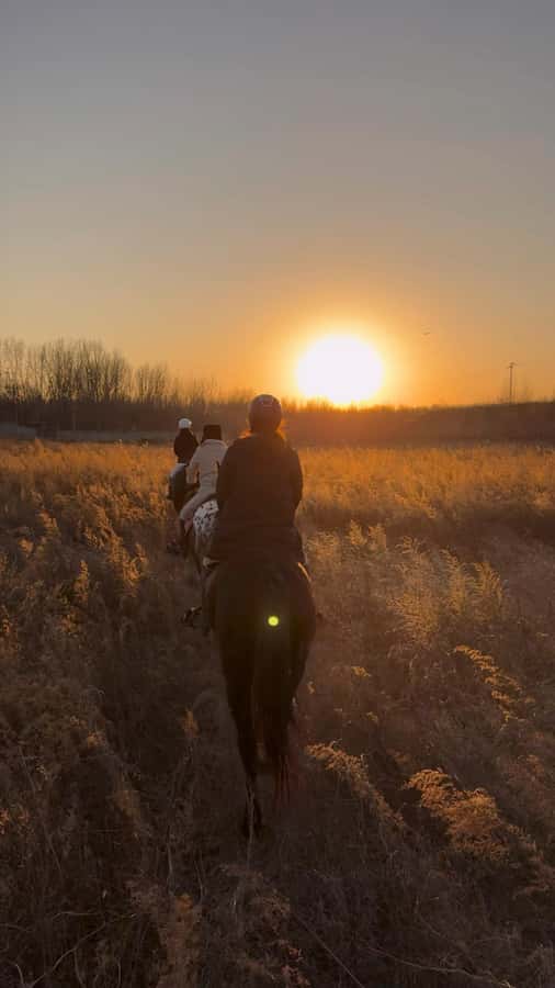 Beijing: Horseback Riding Experience with Dinner - An Inside Look at the Horseback Riding Tour Near Beijing