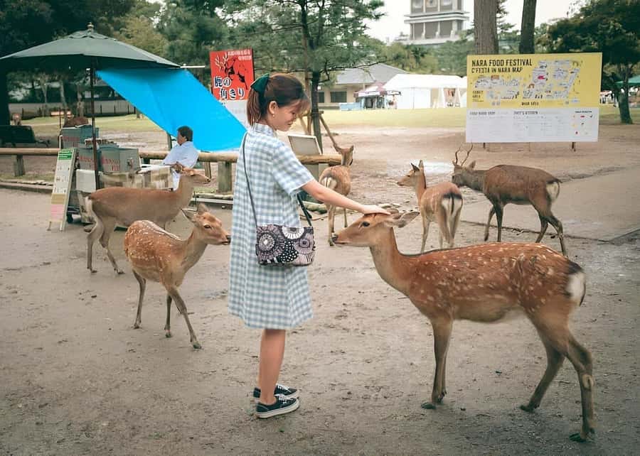 Nara: Private Tour with Car Deer Park & Todai-ji Temple - A Closer Look at the Nara Private Tour
