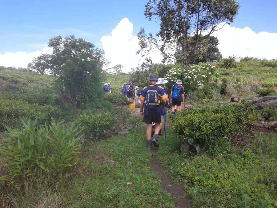 Sri Lanka: Ceylon Royal Tea Trails Trekking Tour - Final Thoughts