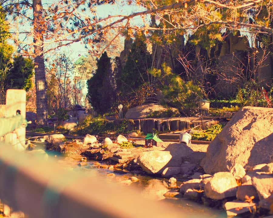 From Vancouver: Professional Photoshoot & Tour - From Vancouver: Professional Photoshoot & Tour — A Detailed Review