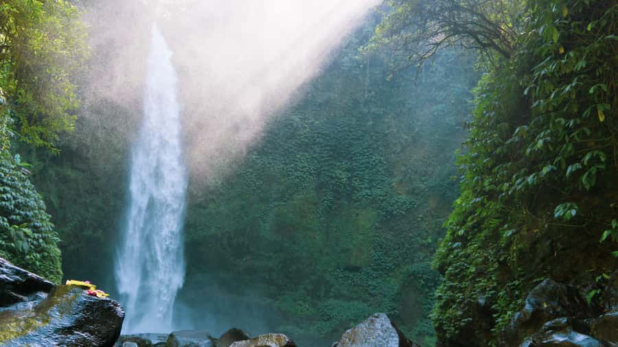 Nungnung Waterfall & Jatiluwih Rice Fields Tour - A Natural Escape to Bali’s Hidden Gems