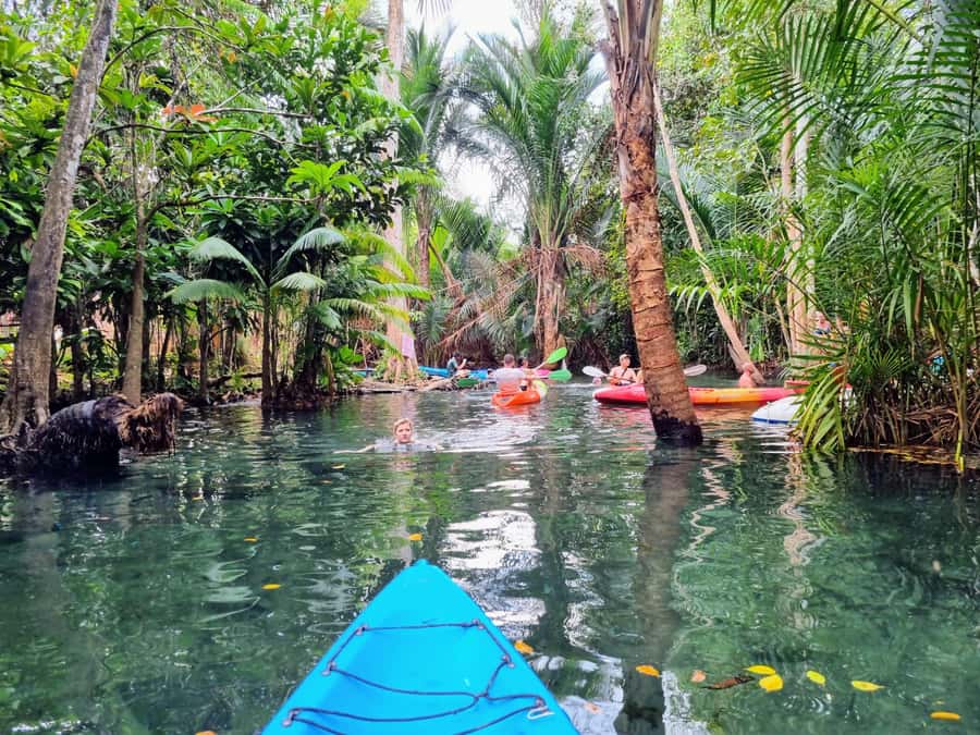 Krabi Quad: Paddle, Batik Print, Rubber Tapping & Pine Farm - Introduction: A Taste of Krabi in Four Hours