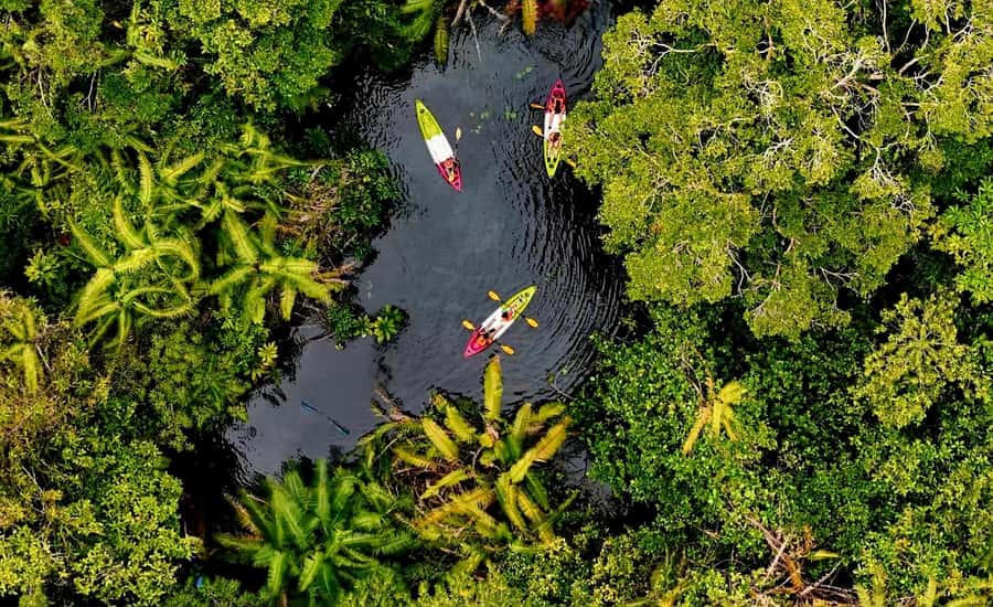 Krabi Quad: Paddle, Batik Print, Rubber Tapping & Pine Farm - Final Thoughts: Is It Worth It?