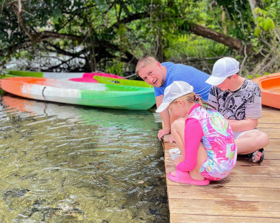 Krabi Quad: Paddle, Batik Print, Rubber Tapping & Pine Farm - FAQ