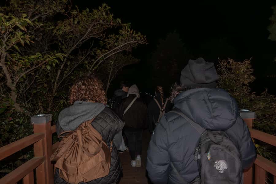 Busan: Night Hiking Tour with the Best Ocean View in Busan - Final Thoughts: The Value of a Night Under Busan’s Stars