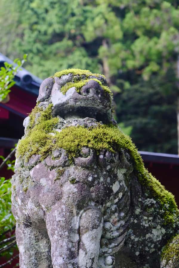Tokyo: Hakone Full-Day Private Guided Tour with Pickup - Good To Know