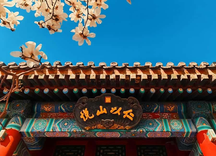 Summer Palace, Old Summer Palace: E-Tickets+Audio Guide - Who Is This Tour Best For?