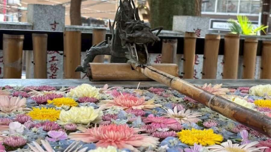 Tokyo Retro Vibes and Izakaya Tour in KOENJI - Visiting the Kisho Shrine: Quirky and Anime-Filled