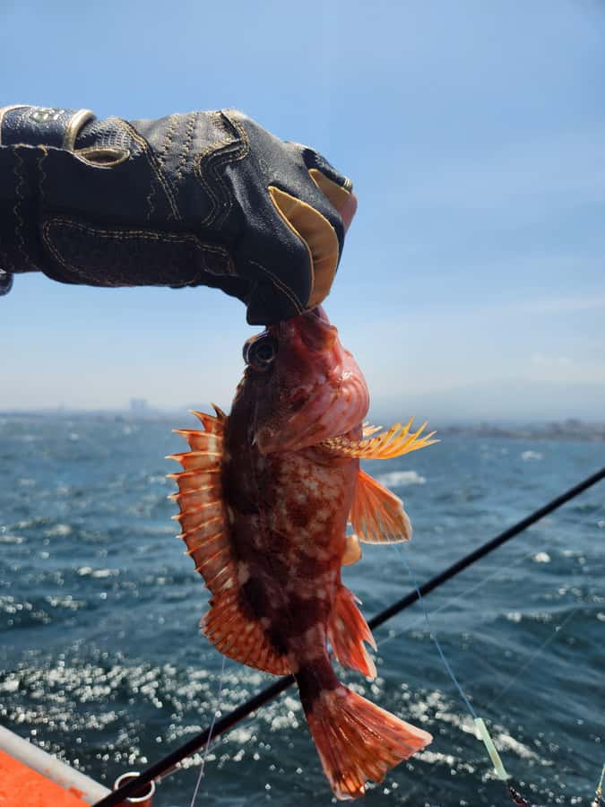 Jeju: Hidden Gems Sea Boat Fishing Tour with Lunch - Authenticity and Unique Experiences