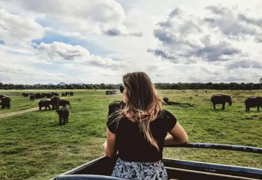 Sigiriya: Kaudulla National Park Safari & Village Tour - An In-Depth Look at the Tour