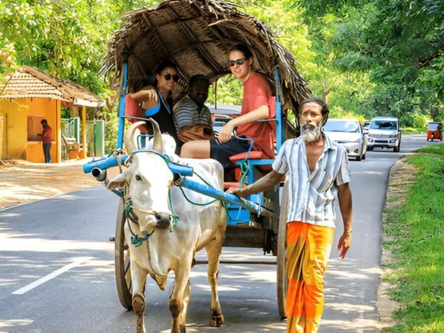 Sigiriya: Kaudulla National Park Safari & Village Tour - Good To Know