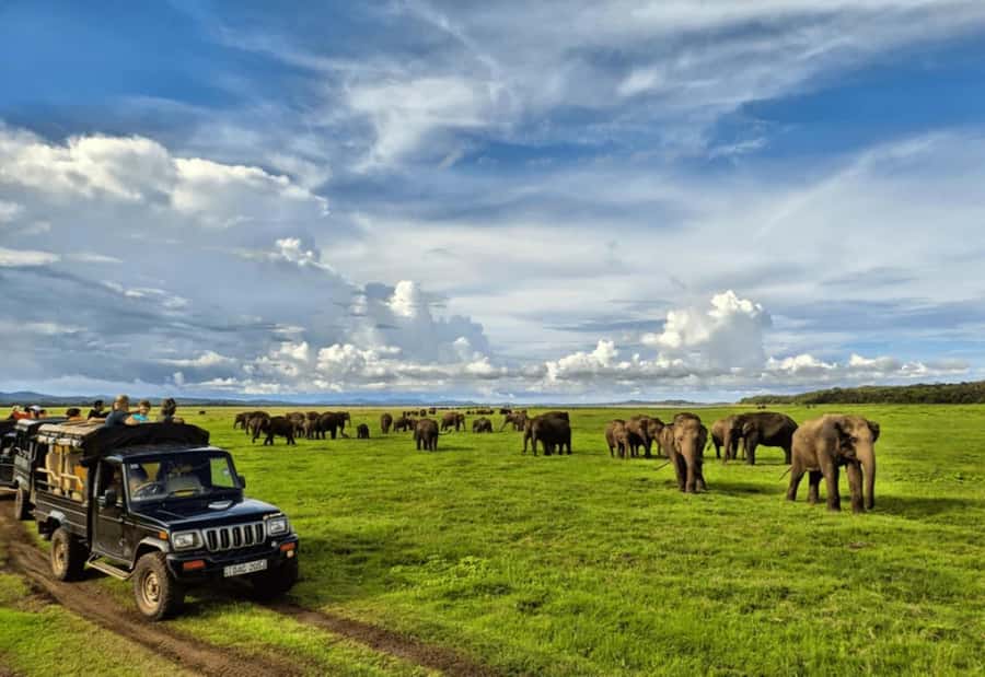 Sigiriya: Kaudulla National Park Safari & Village Tour - Why This Tour Works Well