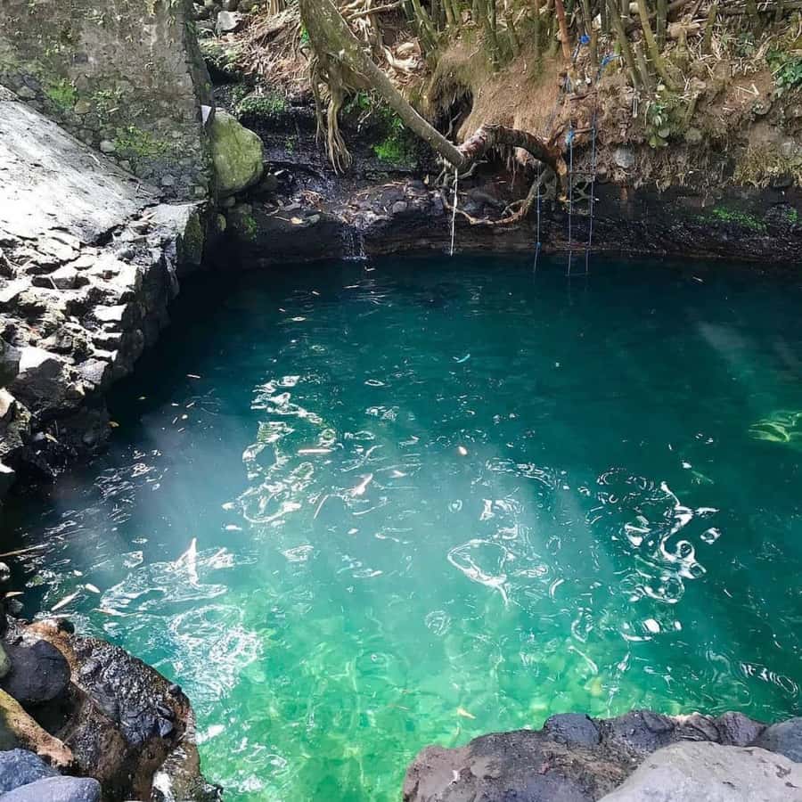 Yogyakarta: Merapi Volcano Sunrise Lava View & Blue Lagoon - Final Thoughts