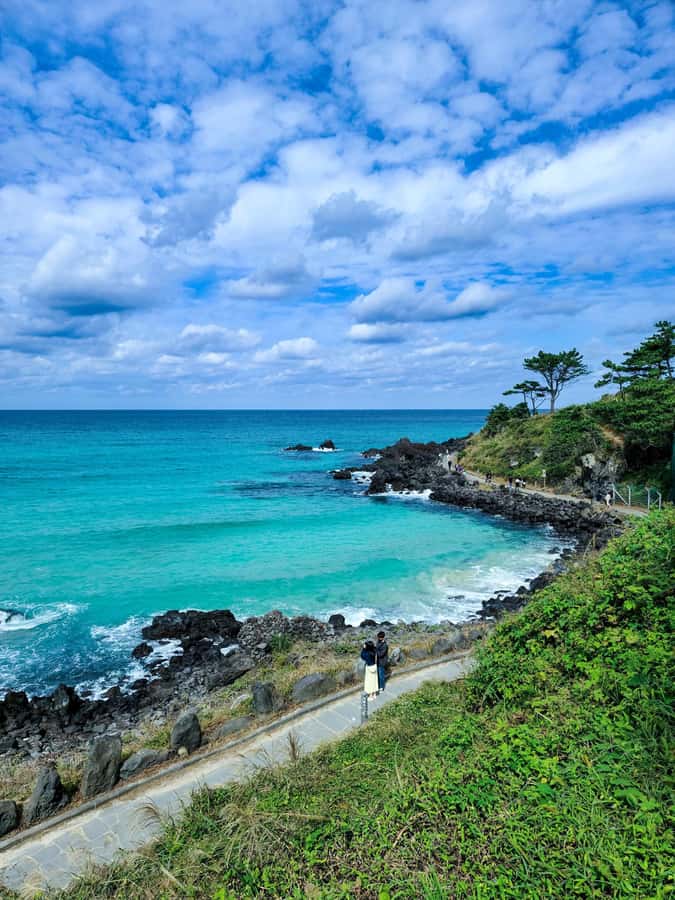 Jeju: Day Tour Hanbok, HALLASAN, Camellia, Sauna (W/pick-up) - Who Is This Tour Best For?