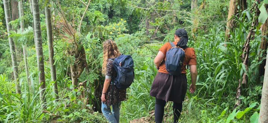 Explore Ellas Iconic Waterfalls on Scenic Tuk Tuk Adventure - An In-Depth Look at the Waterfalls and Landscape