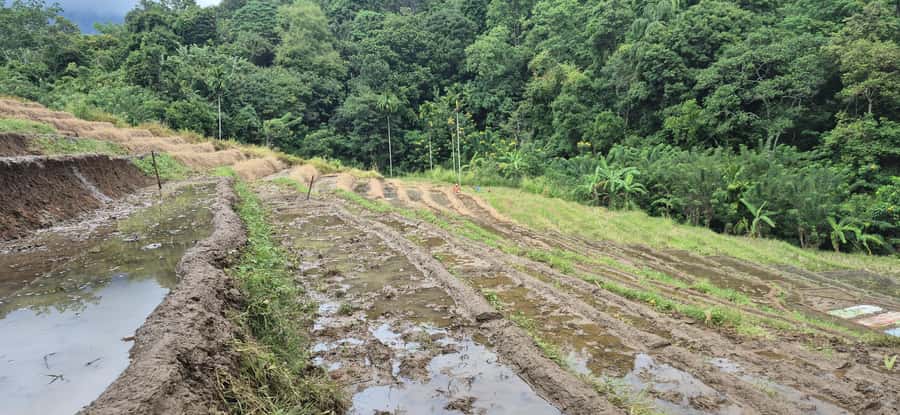 Explore Ellas Iconic Waterfalls on Scenic Tuk Tuk Adventure - FAQ