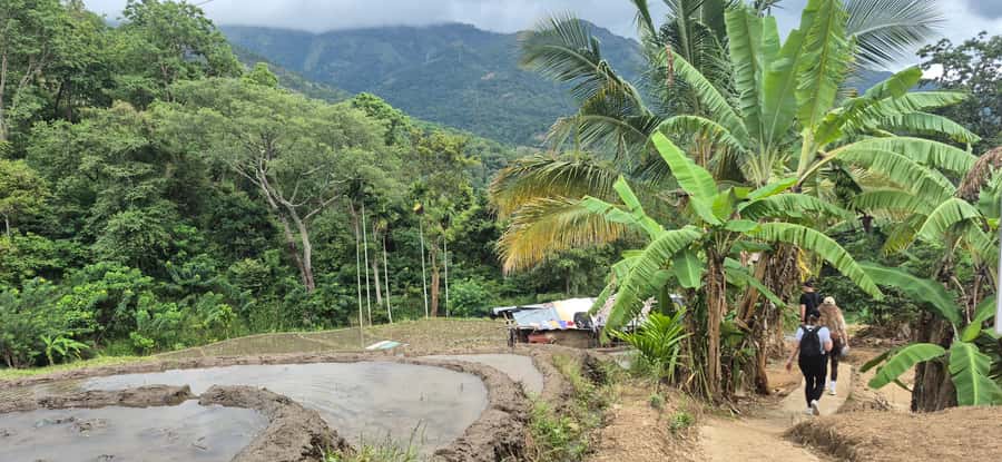 Explore Ellas Iconic Waterfalls on Scenic Tuk Tuk Adventure - Who Will Love This Tour?