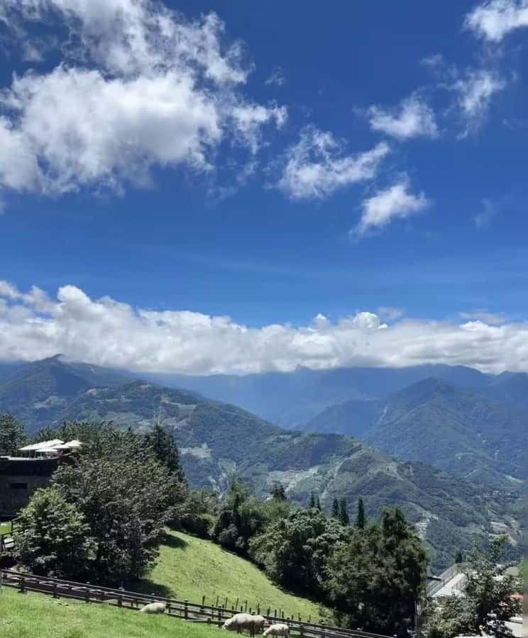 Taichung: Qingjing Farm, Skywalk, and Swiss Garden Tour - Frequently Asked Questions