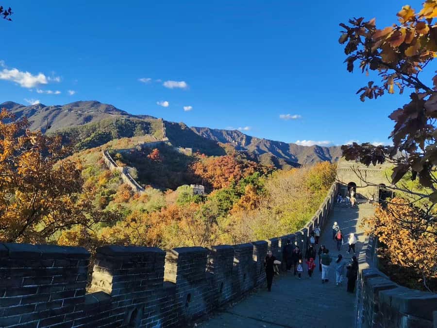 Beijing: Mutianyu Great Wall and Ming Tombs Private Tour - What Guests Say  
