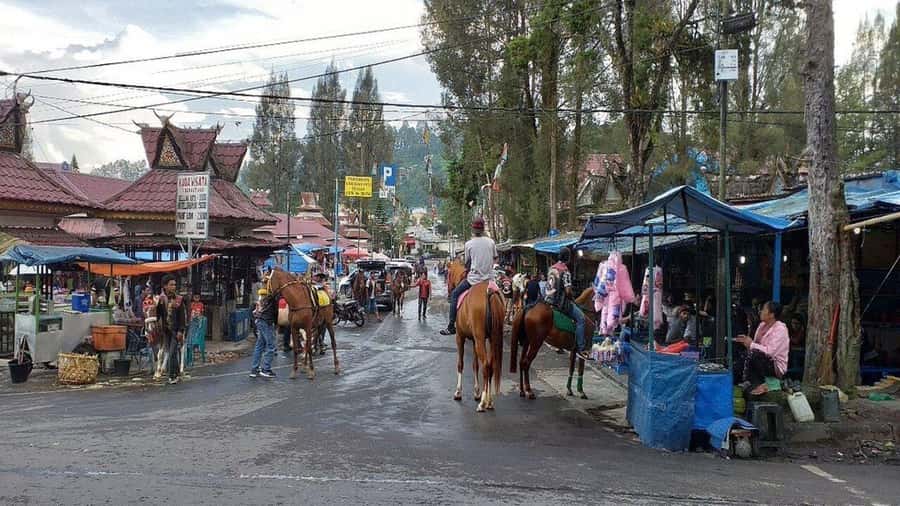 Medan: Berastagi Full-Day Trip with Lunch - Who Is This Tour Best For?