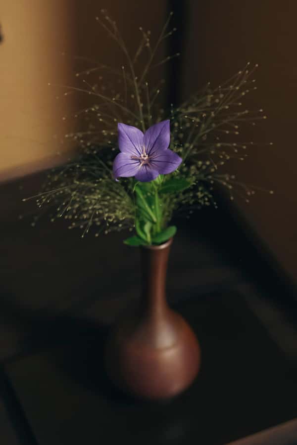 Exclusive × HiddenKyoto Gion Tea Ceremony Experience - Who Should Book This Tour?