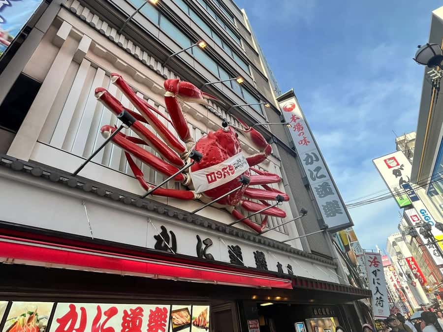 Osaka: From History to Religion and local wonders - The Traditional Matcha Tea Ceremony