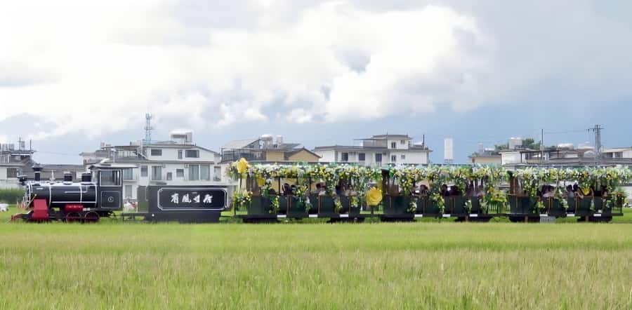 Dali: Chongsheng Temple, Xizhou, & Erhai Lake 1 Day Tour - An In-Depth Look at the Dali Day Tour