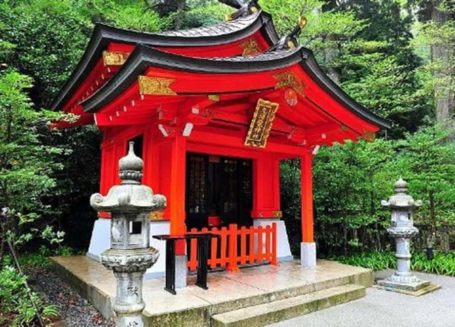 Hakone Private Tour from Tokyo  Lake Ashi & Owakudani - How Does the Tour Score on Value?