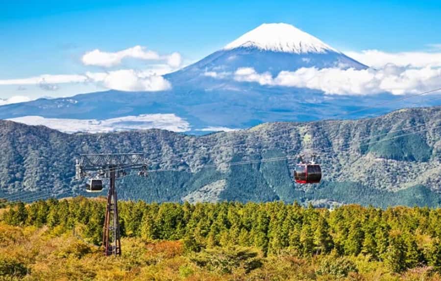 Hakone Private Tour from Tokyo  Lake Ashi & Owakudani - Key Points