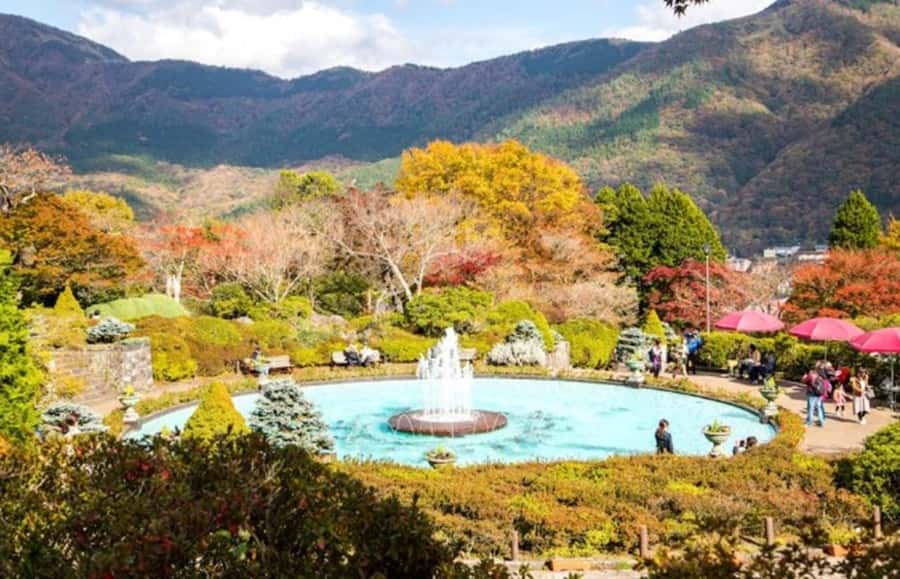 Hakone Private Tour from Tokyo  Lake Ashi & Owakudani - FAQ