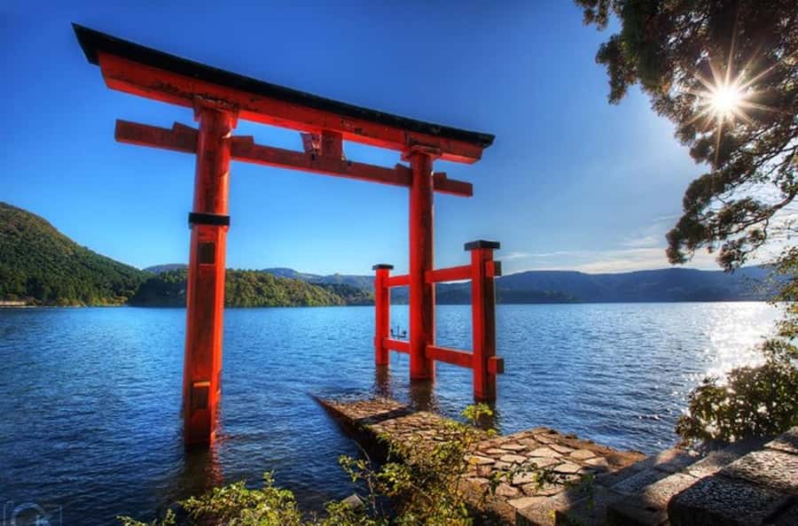 Hakone Private Tour from Tokyo  Lake Ashi & Owakudani - Who Would Love This Tour?