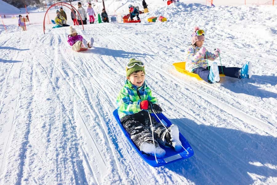 Nagoya: Dynaland Ski Resort Day Trip with Lift Ticket - Final Thoughts