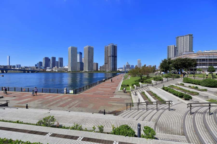 Tokyo's Hidden Gem: Modern Toyosu Market Coastal Tour - Good To Know
