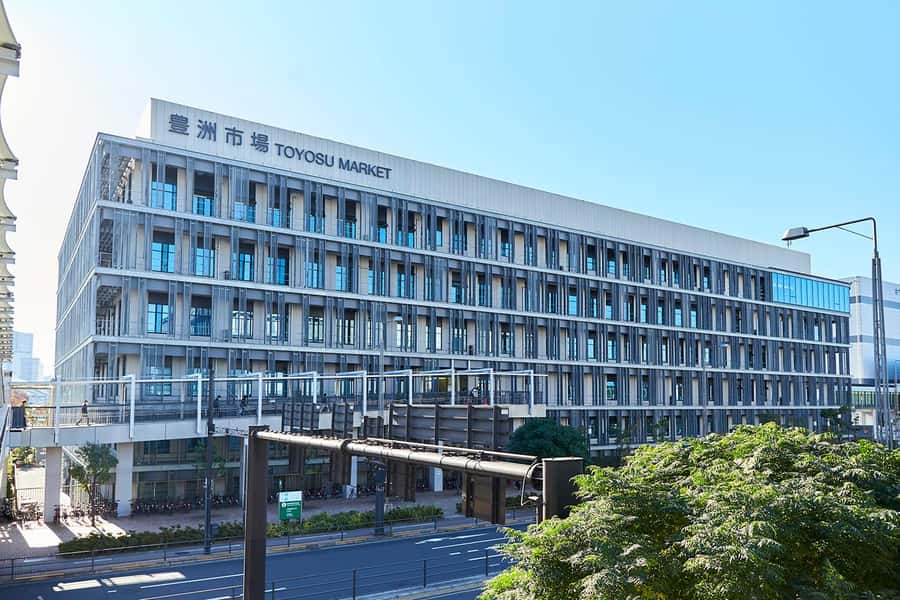 Tokyo's Hidden Gem: Modern Toyosu Market Coastal Tour - Waterfront Serenity at Gururi Park