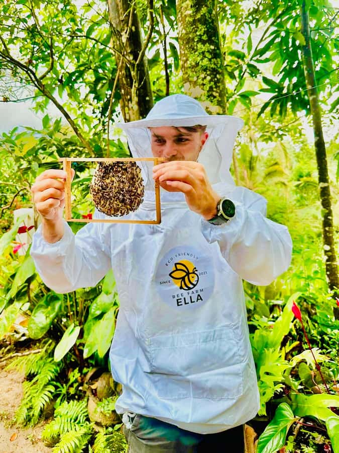 Ella: Honey Bee Farm Tour & Local Honey Tasting Experience - Why This Tour Is Worth Considering