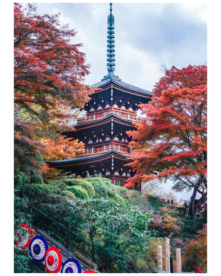 Nara: Walking Tour with History, and spiritual stories - Good To Know