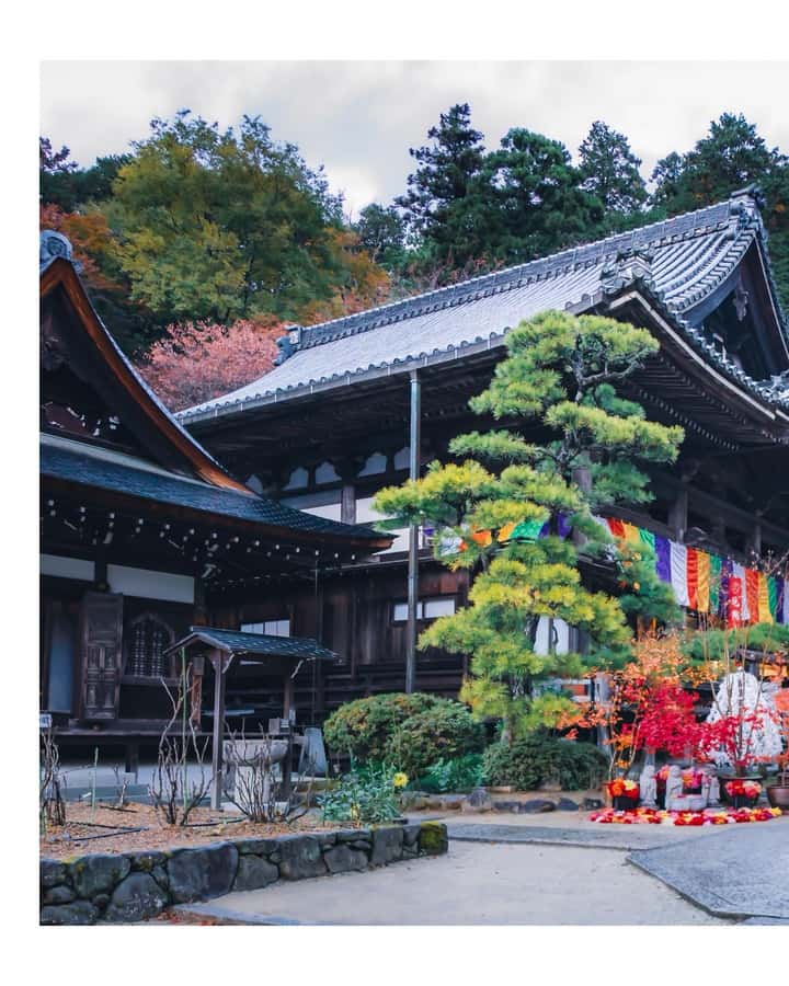 Nara: Walking Tour with History, and spiritual stories - A Closer Look at the Nara Walking Tour