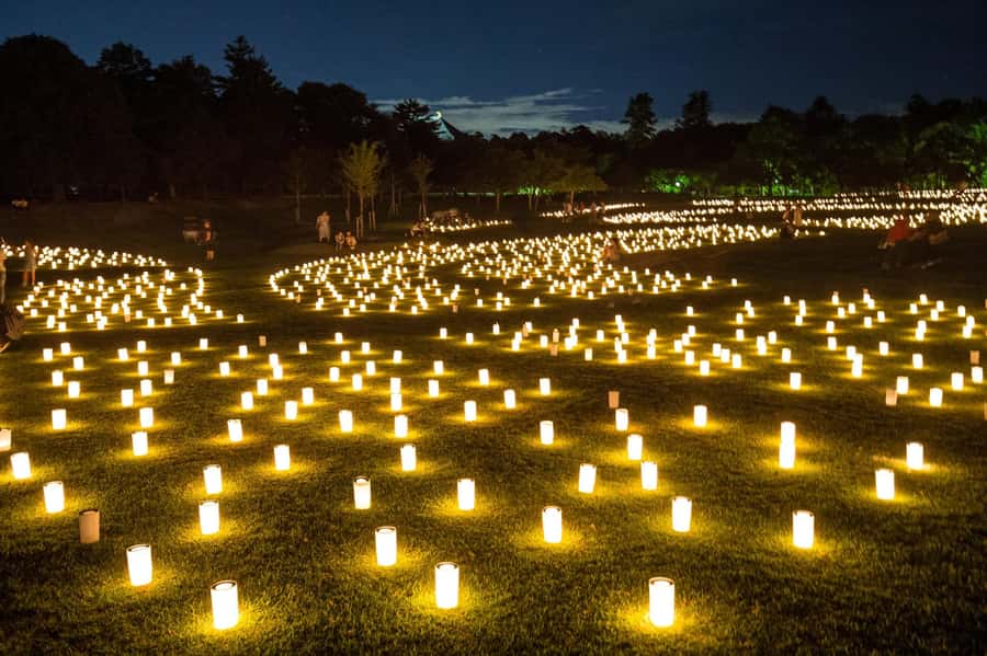 Nara: Walking Tour with History, and spiritual stories - The Sum Up