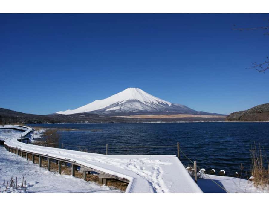 Crowd-Free Hidden Local Spots  Mt. Fuji Private Car Tour - The Practical Side: Price, Duration, and Value