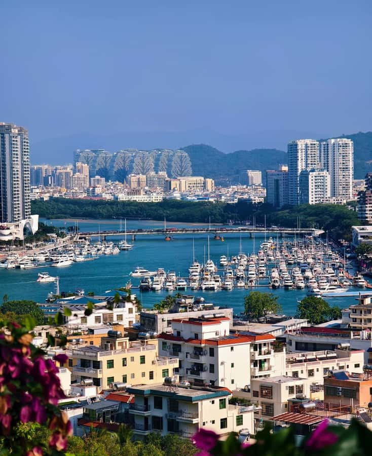 Sanya 3-Hour Scenic Park & Local Market Discovery Tour - Who Would Love This Tour?