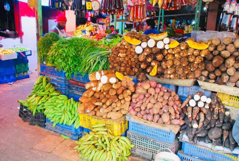 Higuey - Rio Chavon: Immerse yourself in Dominican life - An In-Depth Look at the Tour Experience