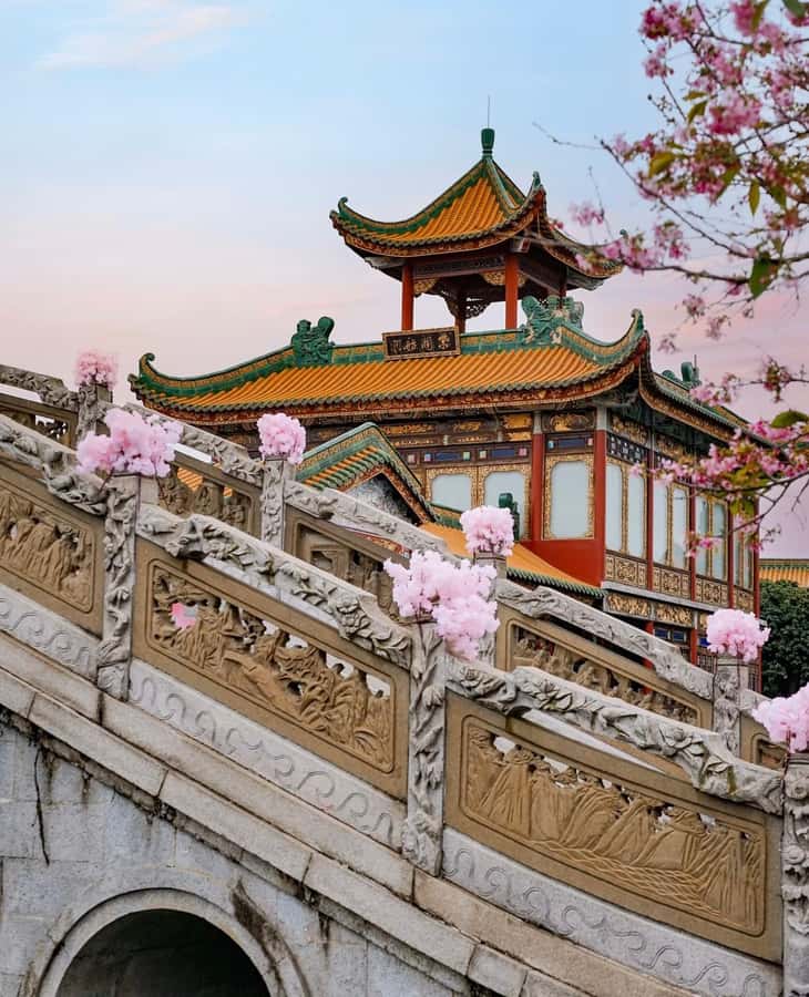 Guangzhou Day Trip: Shawan Town, Baomo Garden & Local Market - Transportation & Practical Details