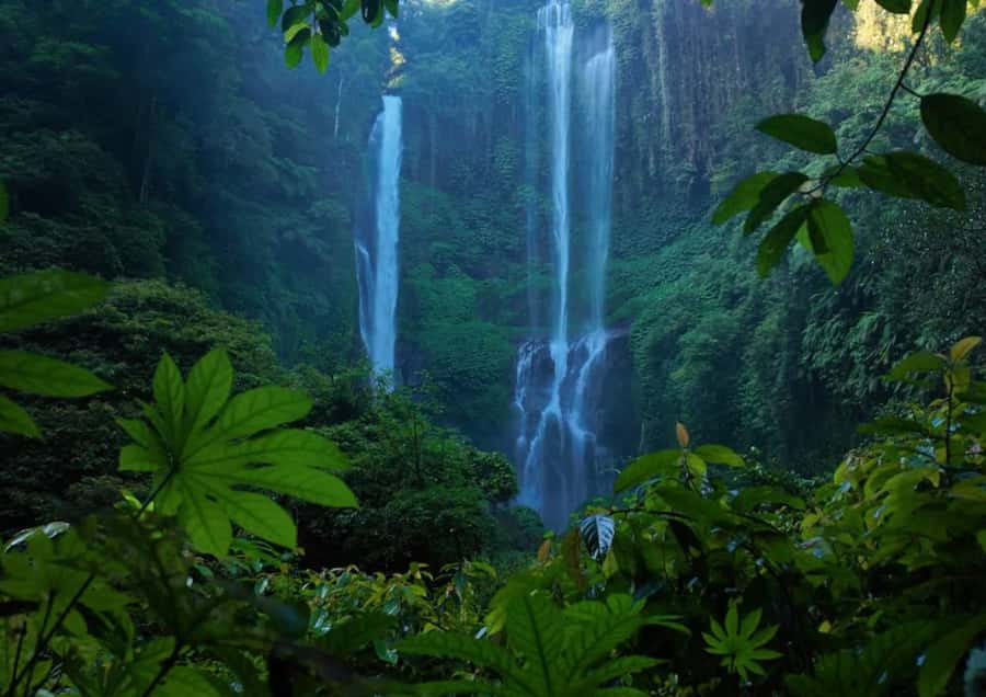 Bali : North Bali Hidden Gems - Costumized Tour - Exploring North Bali’s Highlights in Detail