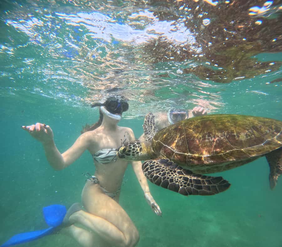 Mirissa Snorkeling Tour with Turtle Adventure and Free Video - Authenticity and Authentic Encounters