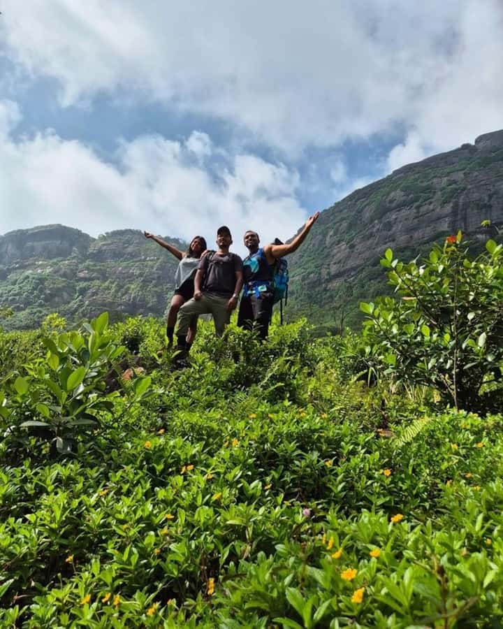 Kandy: Hidden Highlands Nature Walk - Exploring the Kandy: Hidden Highlands Nature Walk – A Deep Dive